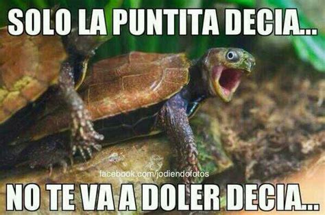 xnxx lolis|SOLO LA PUNTITA QUE ME DUELE MUCHO .